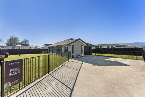 Photo of property in 68 Hinemoa Street, Levin, 5510