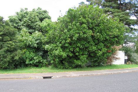 Photo of property in 207 Panama Road, Mount Wellington, Auckland, 1062