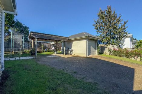 Photo of property in 16 Goodwin Street, Tirau, 3410