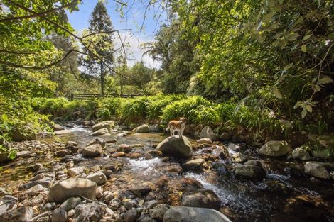 Photo of property in 397 Busby Road, Tahawai, Katikati, 3170