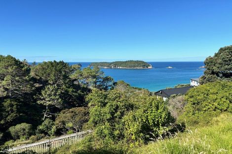 Photo of property in 94 Grange Road, Hahei, Whitianga, 3591