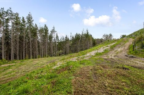 Photo of property in 177 Wishart Road, Helensville, 0875