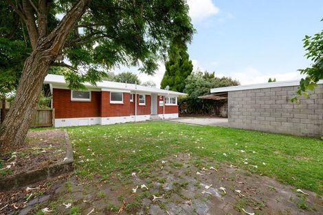 Photo of property in 12 Freemont Street, Chartwell, Hamilton, 3210