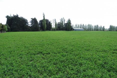 Photo of property in 161 Wakanui Road, Elgin, Ashburton, 7777