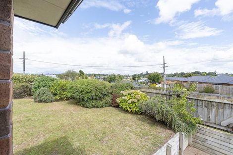 Photo of property in 2 Thomson Avenue, Dinsdale, Hamilton, 3204