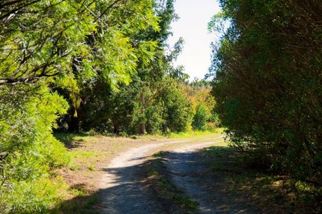 Photo of property in 317 Caseys Road, Blind River, Seddon, 7285