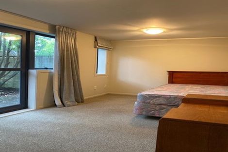 Photo of property in 120c Grafton Road, Grafton, Auckland, 1010