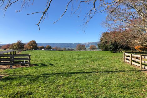 Photo of property in 34 Taihoa Road North, Matamata, 3473