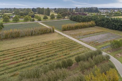 Photo of property in 80 Carters Terrace, Tinwald, Ashburton, 7700