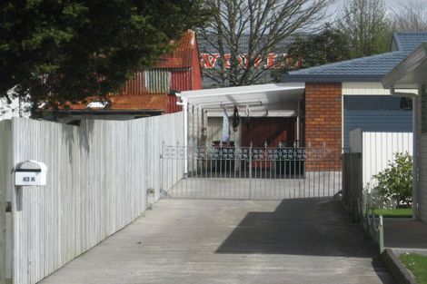 Photo of property in 43a Ariel Street, Stratford, 4332