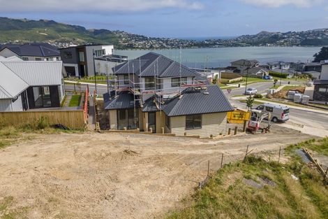Photo of property in 65 Ken Douglas Drive, Aotea, Porirua, 5024