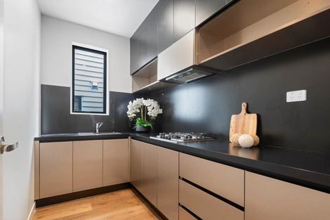 Photo of property in 56b Ellerton Road, Mount Eden, Auckland, 1024