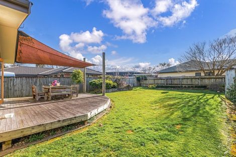 Photo of property in 49 Knowles Street, Terrace End, Palmerston North, 4410