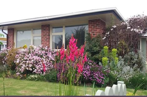 Photo of property in 220 Church Street, West End, Timaru, 7910