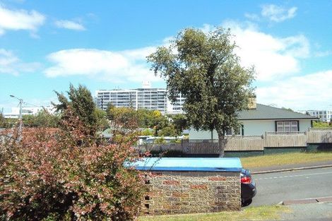 Photo of property in 113 Pembroke Street, Hamilton Lake, Hamilton, 3204