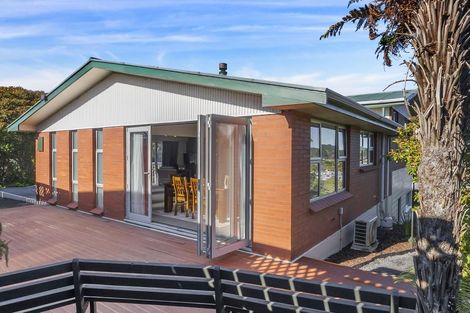 Photo of property in 45 Greenock Street, Kaikorai, Dunedin, 9010