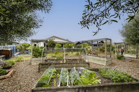 Photo of property in 31 Napier Street, Jervoistown, Napier, 4112