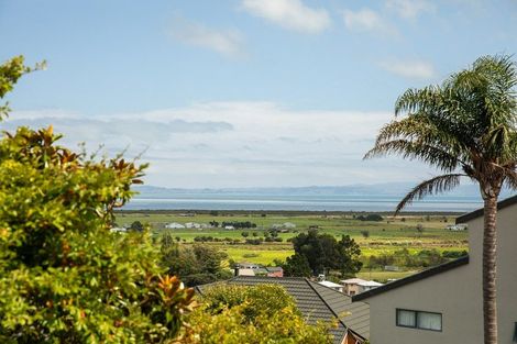 Photo of property in 212 The Booms Avenue, Thames, 3500