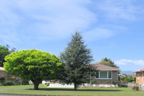 Photo of property in 29 Waharoa Road, Matamata, 3400