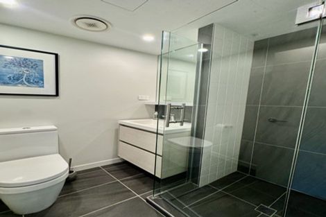 Photo of property in Vsp South, 805/166 Victoria Street, Te Aro, Wellington, 6011