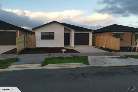 Photo of property in 37 Koroheke Road, Takanini, 2110