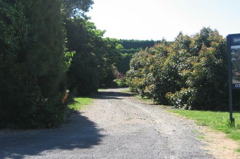 Photo of property in 219 Plummers Point Road, Whakamarama, Tauranga, 3172