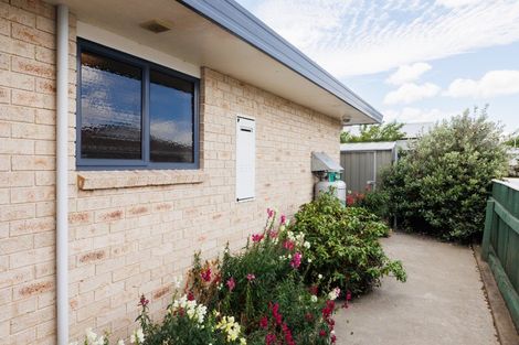 Photo of property in 103a Warwick Street, Feilding, 4702