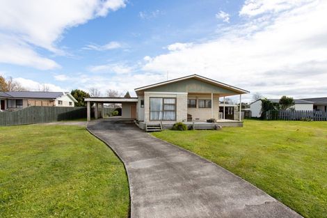 Photo of property in 2 Mcquarrie Place, Ngatea, 3503