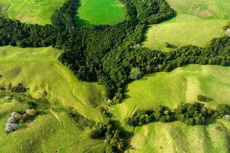 Photo of property in 435 Wairere Road, Paparoa, 0571