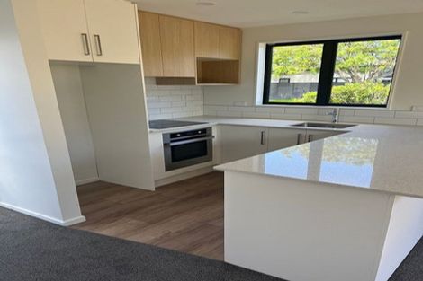 Photo of property in 3/7 Hume Street, Sydenham, Christchurch, 8023