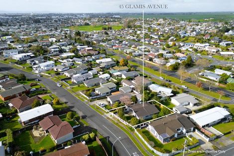 Photo of property in 45 Glamis Avenue, Dinsdale, Hamilton, 3204