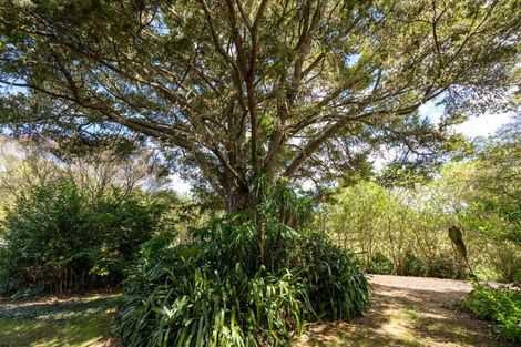 Photo of property in 3687 State Highway 12, Taheke, Kaikohe, 0473