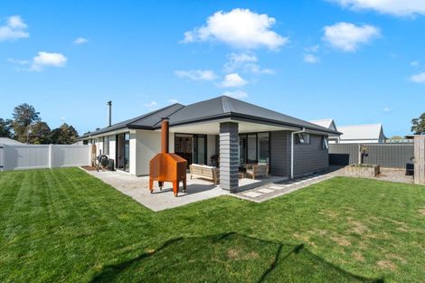 Photo of property in 7 Barracks Avenue, Solway, Masterton, 5810
