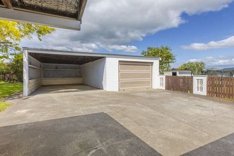 Photo of property in 17 Freyberg Terrace, Waipukurau, 4200