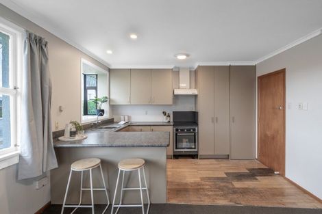 Photo of property in 119 Robertson Street, Gore, 9710