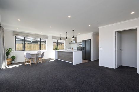 Photo of property in 20 Drayton Street, Richmond, 7020