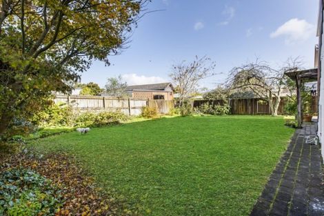 Photo of property in 240 Ohaupo Road, Glenview, Hamilton, 3206