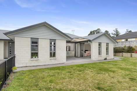 Photo of property in 161 Rowesdale Drive, Ohauiti, Tauranga, 3112