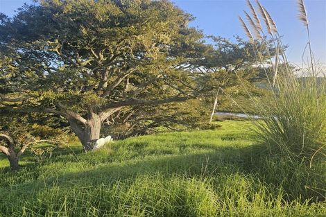 Photo of property in 47 Matahehe Lane, Tinopai, 0593