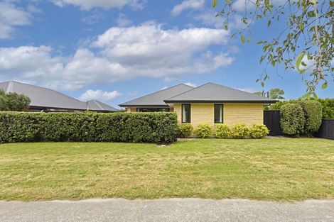 Photo of property in 6 Forbes Street, Pegasus, 7612