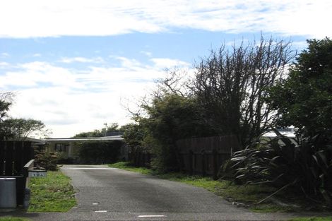 Photo of property in 19a Martin Harvey Street, Levin, 5510