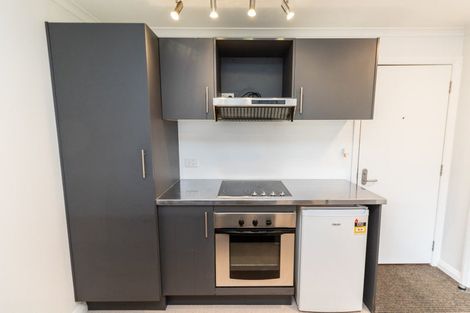 Photo of property in Monvie Apartments, 205/15 Holland Street, Te Aro, Wellington, 6011