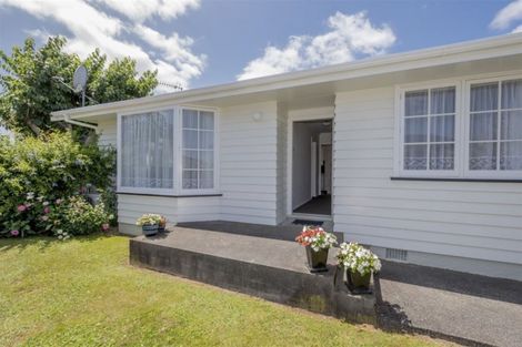 Photo of property in 21 Burn Street, Levin, 5510