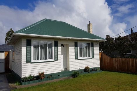 Photo of property in 19 Hannan Street, Levin, 5510