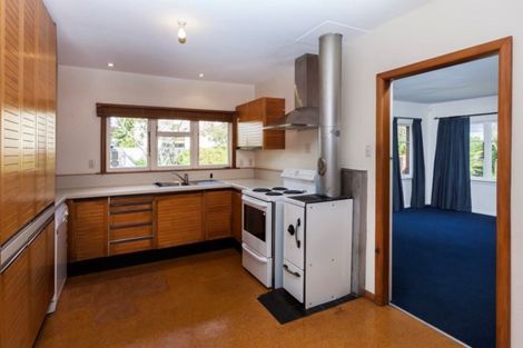 Photo of property in 84 Winchester Street, Merivale, Christchurch, 8014