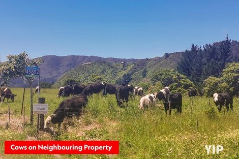 Photo of property in 107 Gillespies Road, Birchville, Upper Hutt, 5018