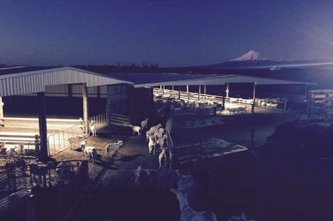 Photo of property in 354 Paraite Road, Paraite, New Plymouth, 4373