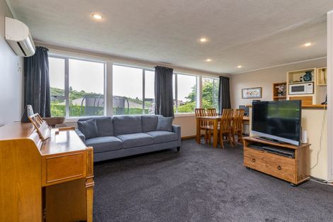 Photo of property in 20 Turnbull Street, Brockville, Dunedin, 9011