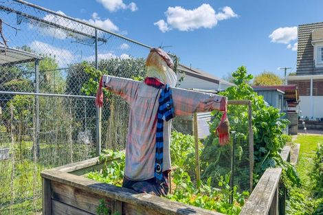 Photo of property in 11 Miro Street, Matamata, 3400