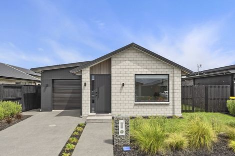 Photo of property in 17 Naismith Street, Chartwell, Hamilton, 3210